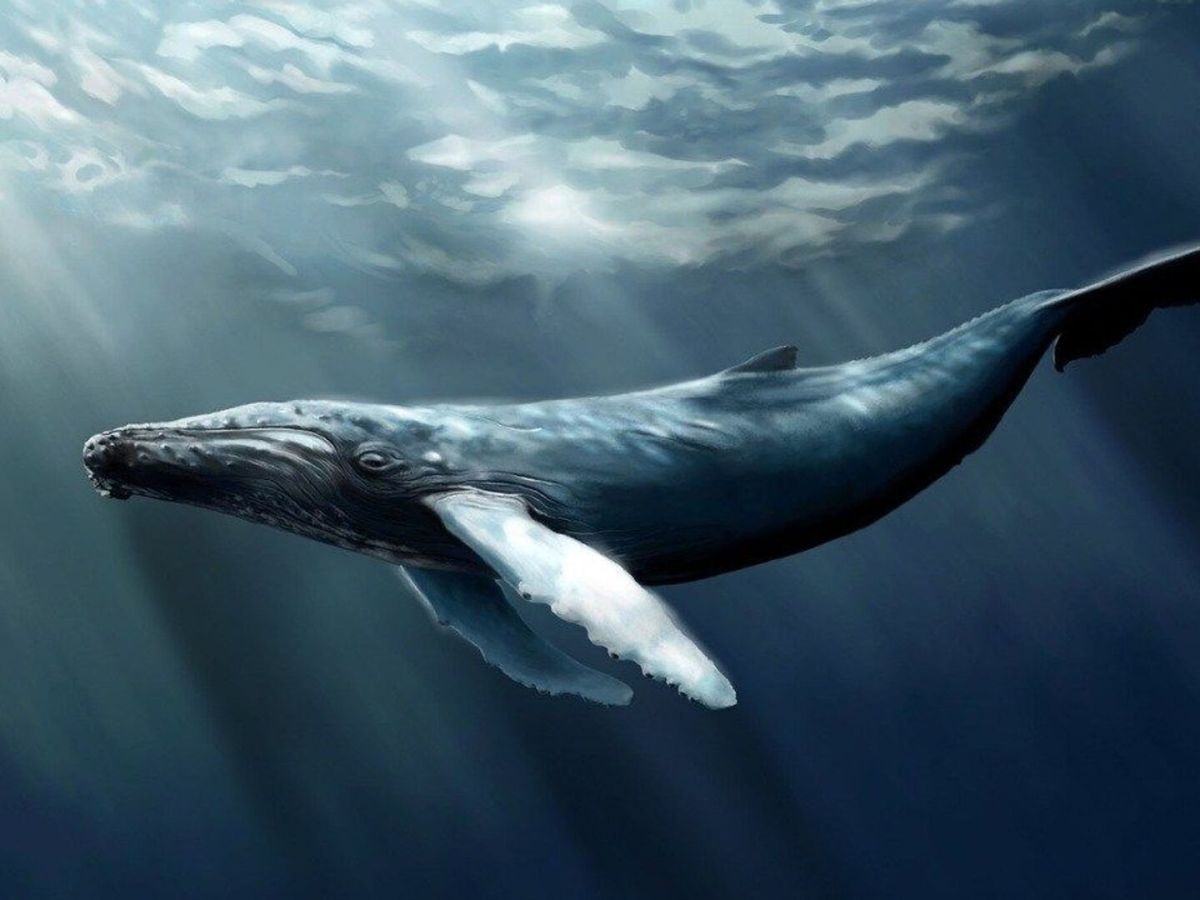 Artemisia ve Antíokhos’un Mucizesi&nbsp;(Öykü)